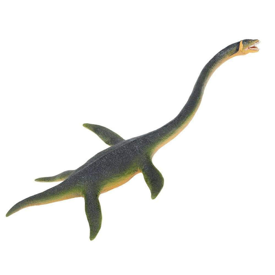 Elasmosaurus Toy | Dinosaur Toys | Safari Ltd.