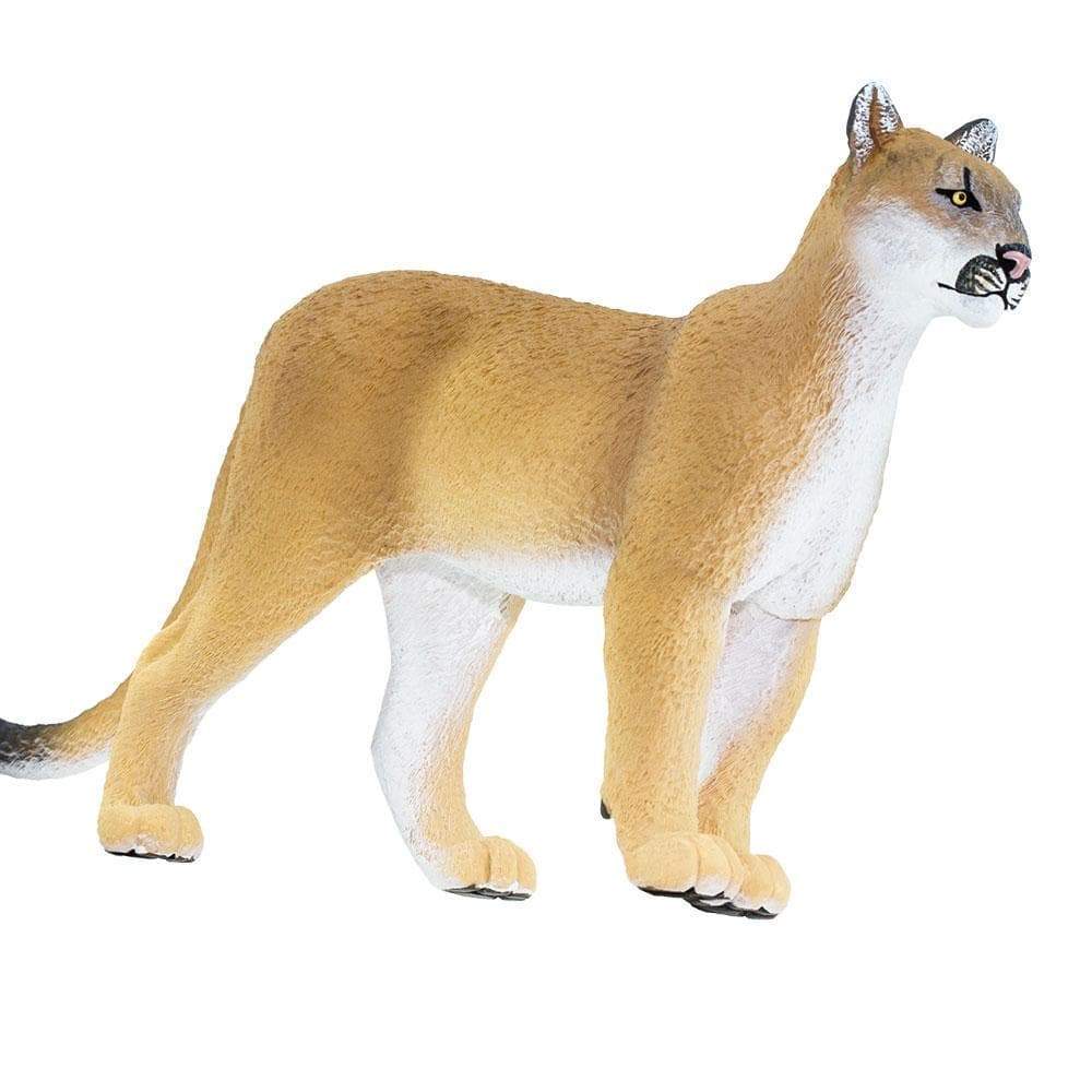 Florida Panther Toy | Wildlife Animal Toys | Safari Ltd®