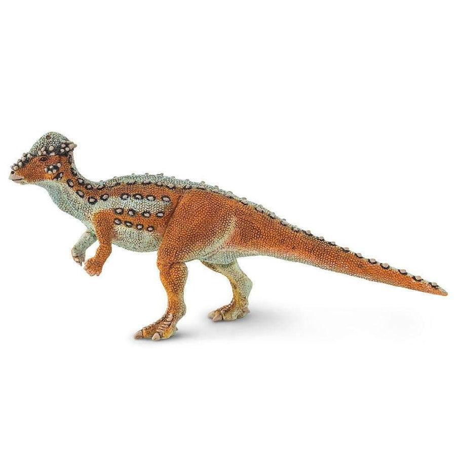 Pachycephalosaurus Toy | Dinosaur Toys | Safari Ltd.