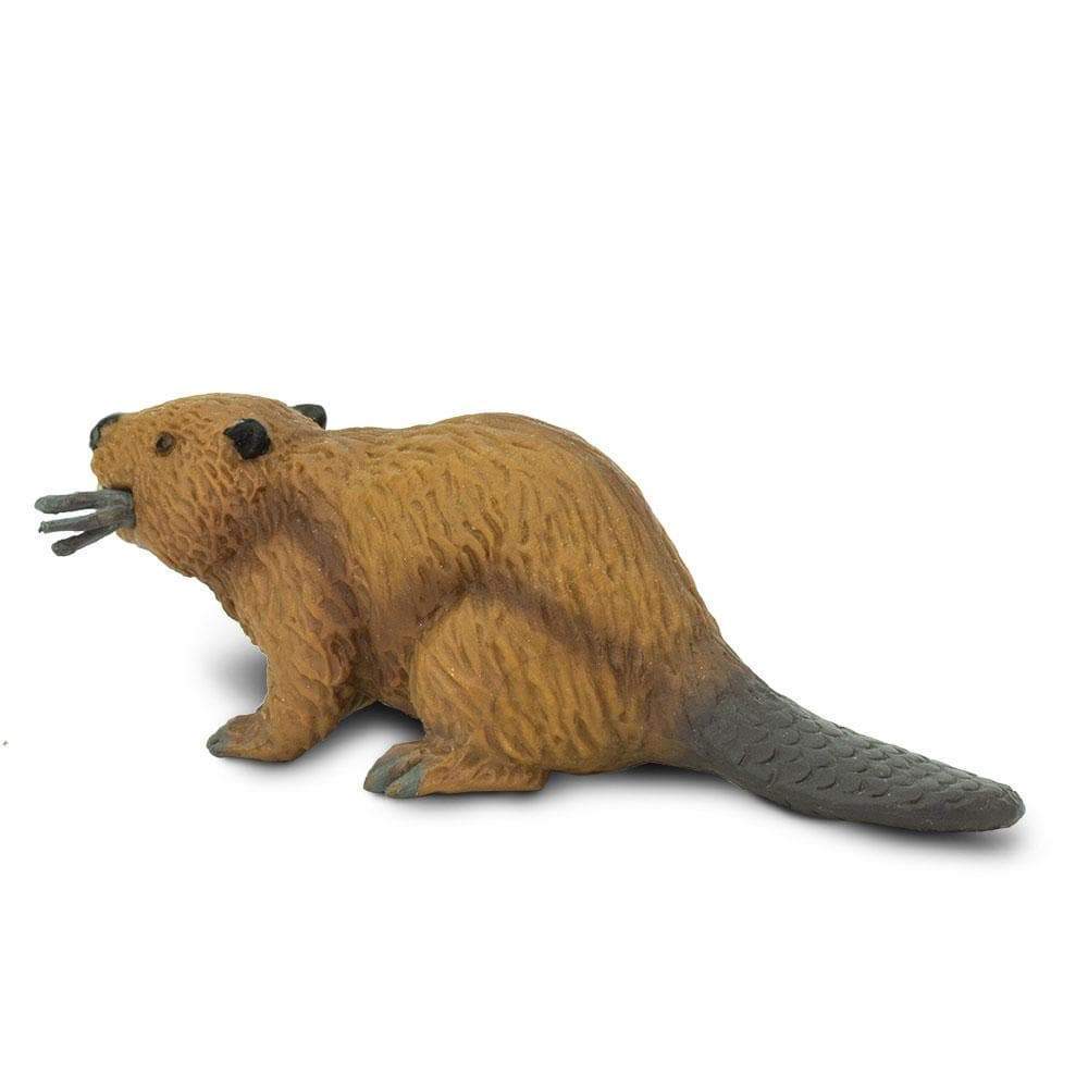 Beaver Toy