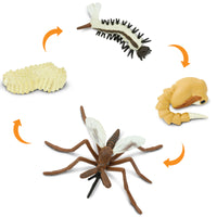 Life Cycle of a Mosquito - Safari Ltd®