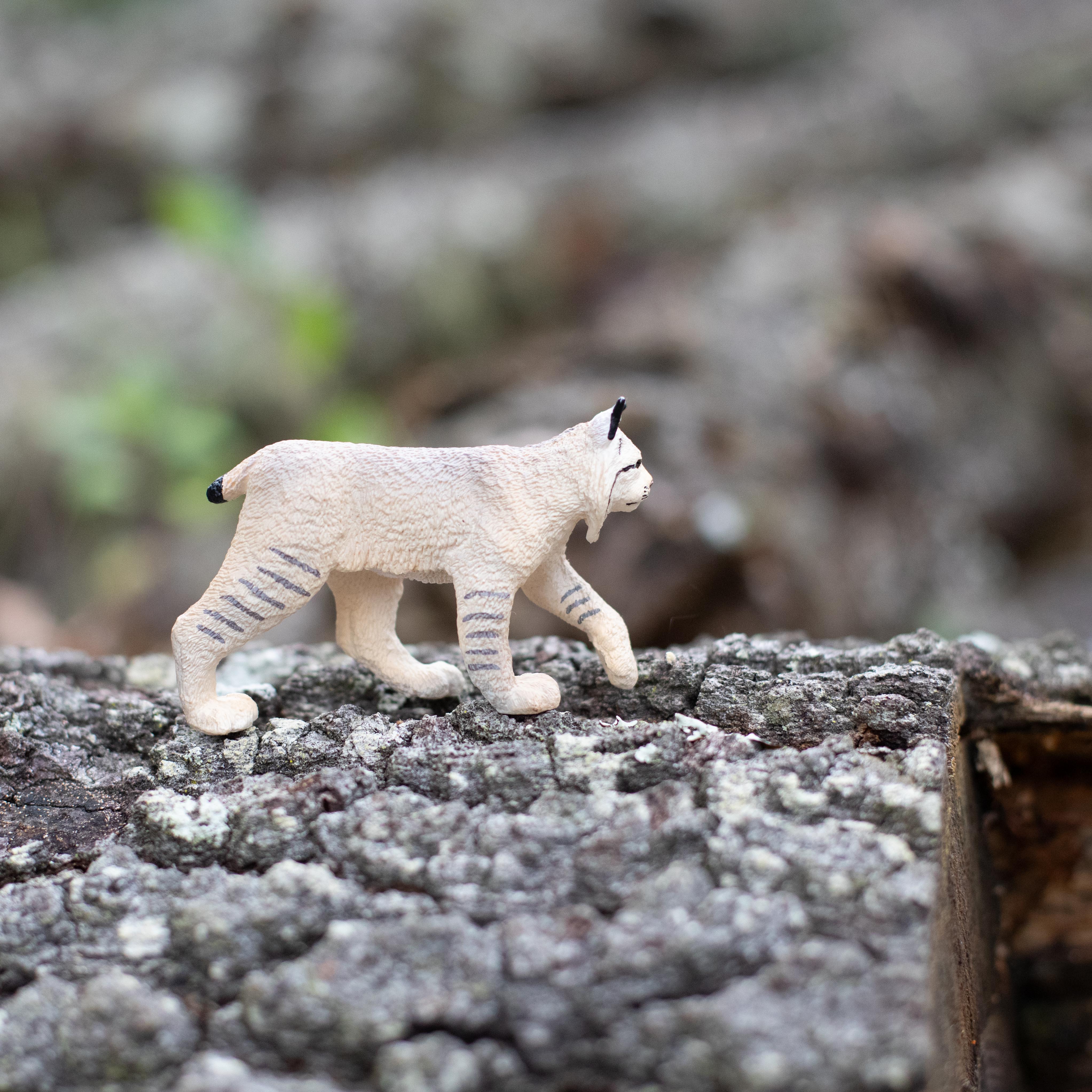 Lynx Toy | Wildlife Animal Toys | Safari Ltd®