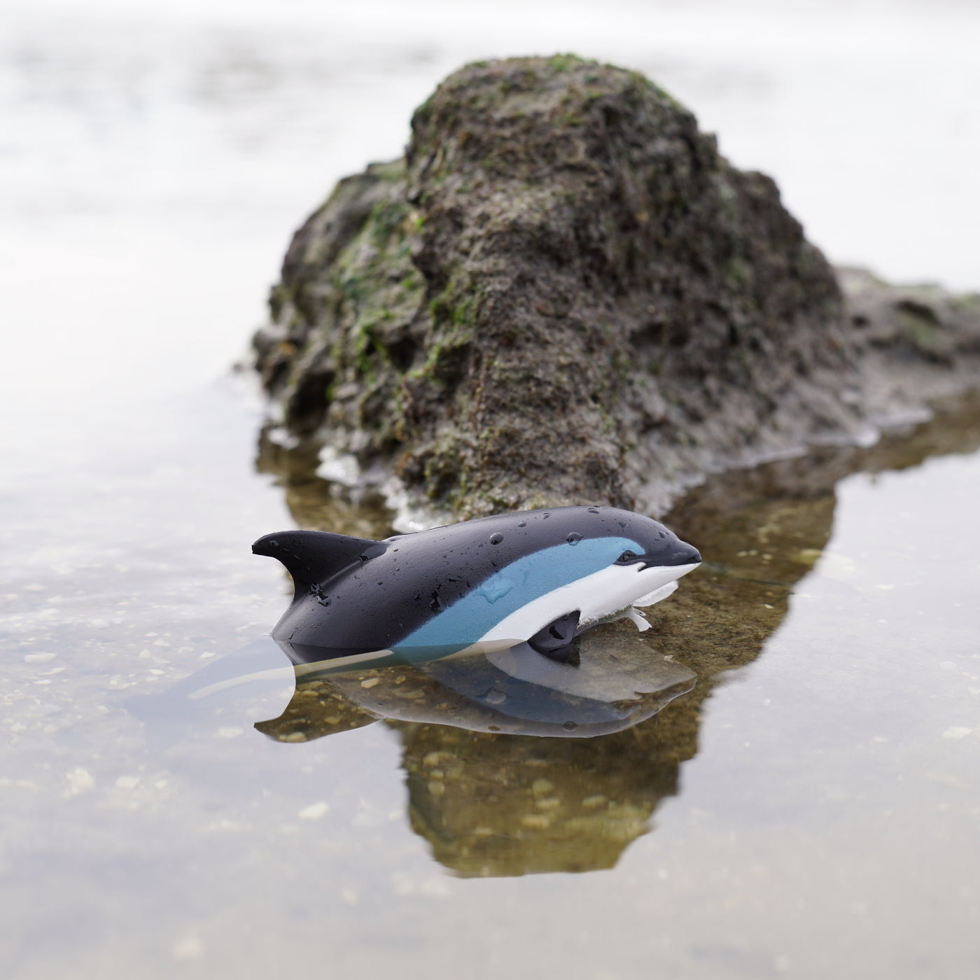 Atlantic White-Sided Dolphin Toy