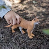 Florida Panther Toy | Wildlife Animal Toys | Safari Ltd®