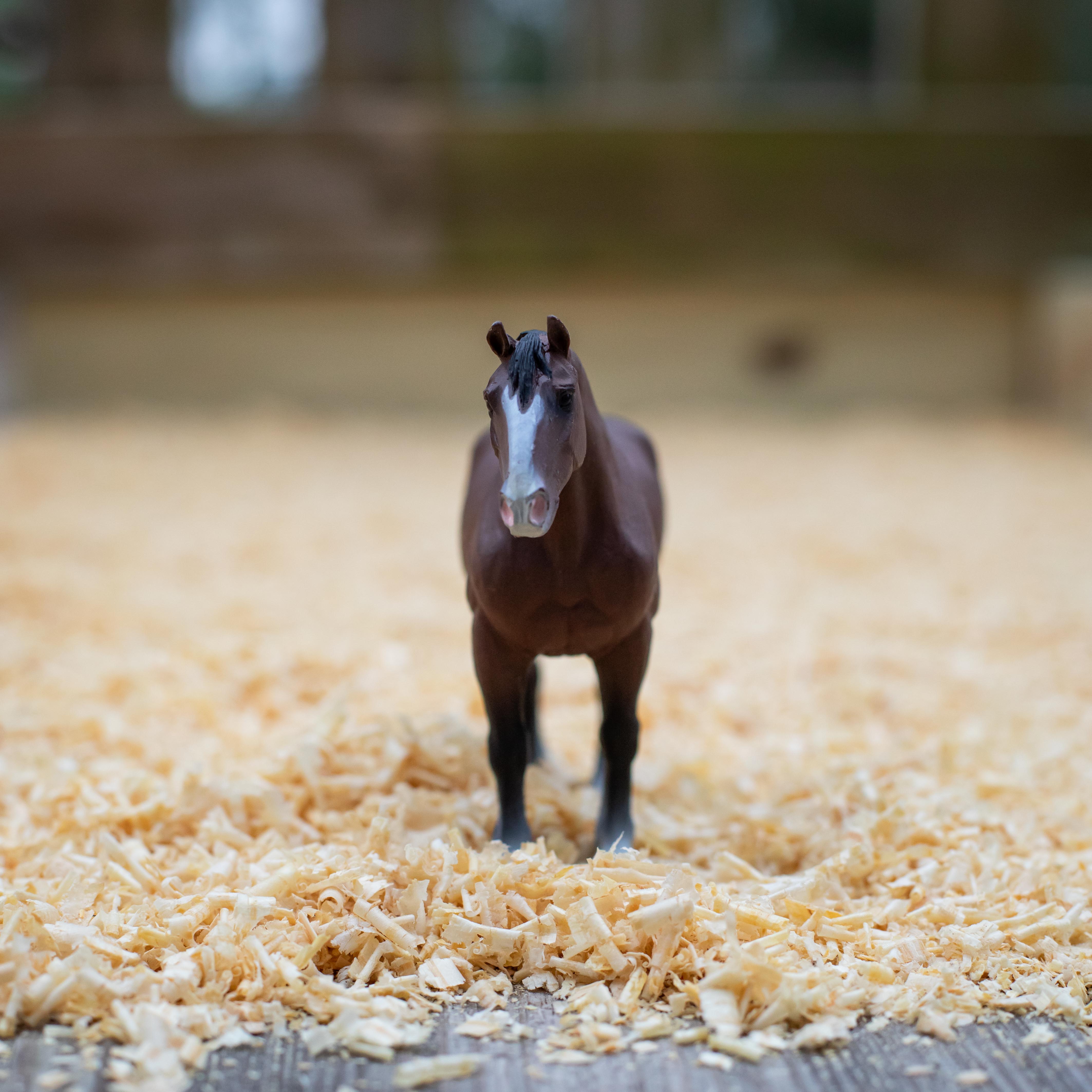 Clydesdale Stallion Toy | Farm | Safari Ltd®