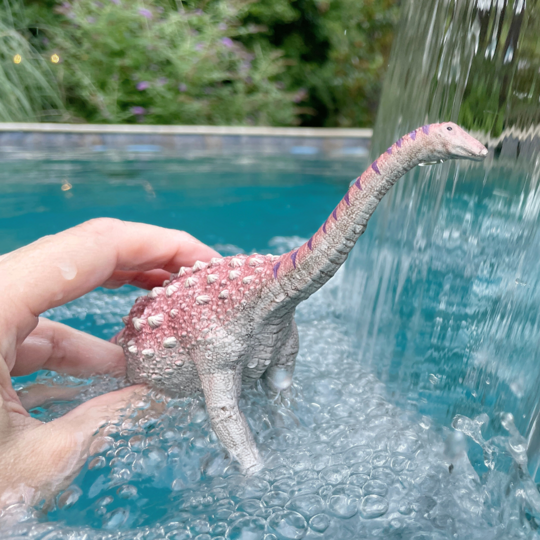 Saltasaurus Dinosaur Toy Figure |  | Safari Ltd®