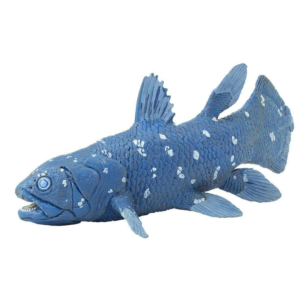 Coelacanth | Dinosaur Toys | Safari Ltd®