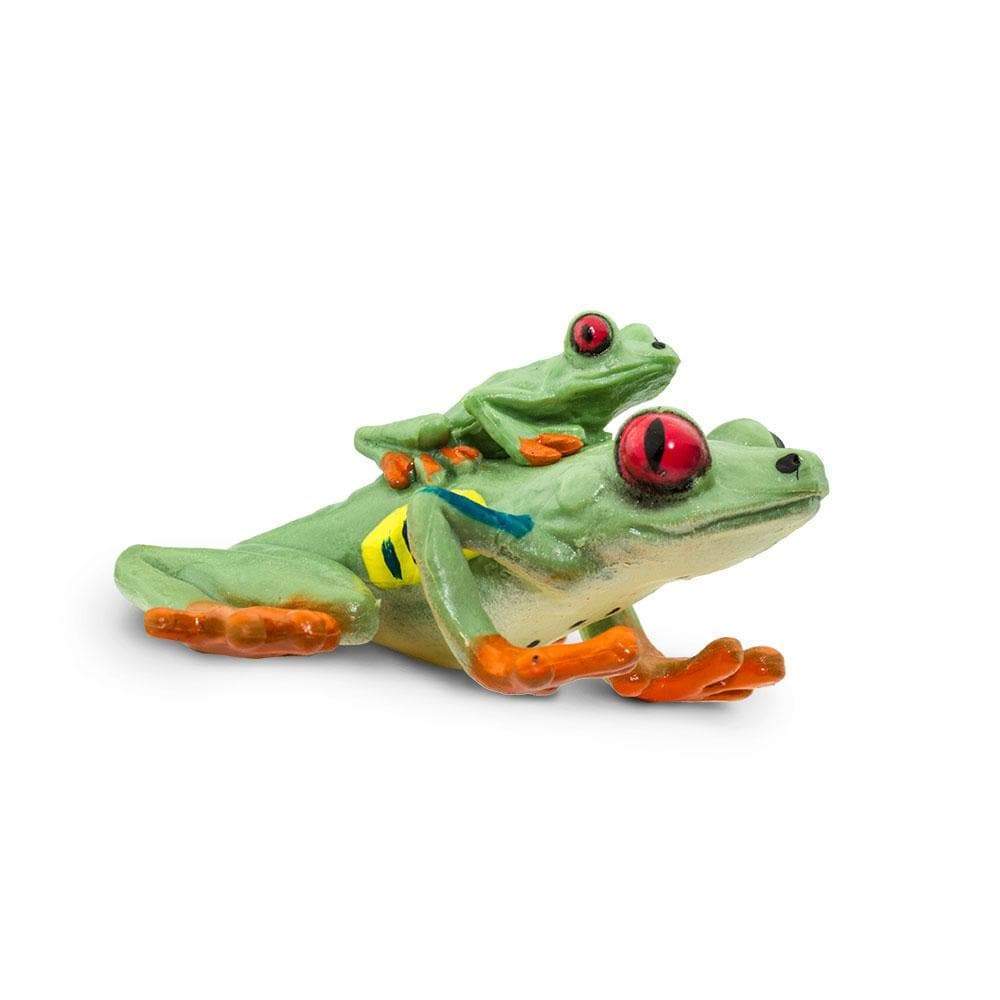 Red-eyed Tree Frog Toy | Incredible Creatures | Safari Ltd®