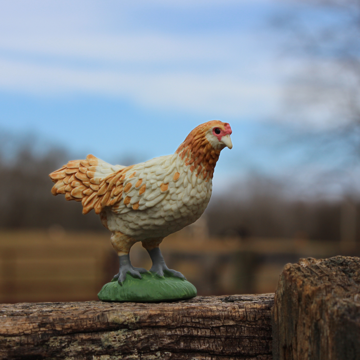 Ameraucana Chicken Toy