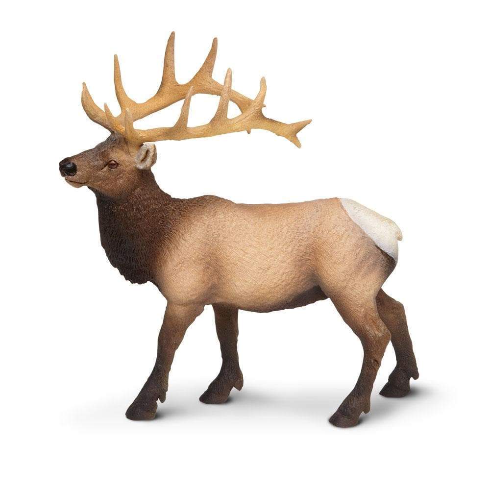 Elk Bull Toy | Wildlife Animal Toys | Safari Ltd.