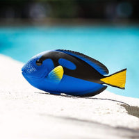 Blue Tang Toy