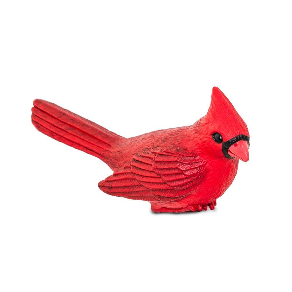 Cardinal Toy