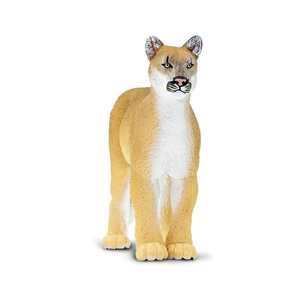 Florida Panther Toy | Wildlife Animal Toys | Safari Ltd®