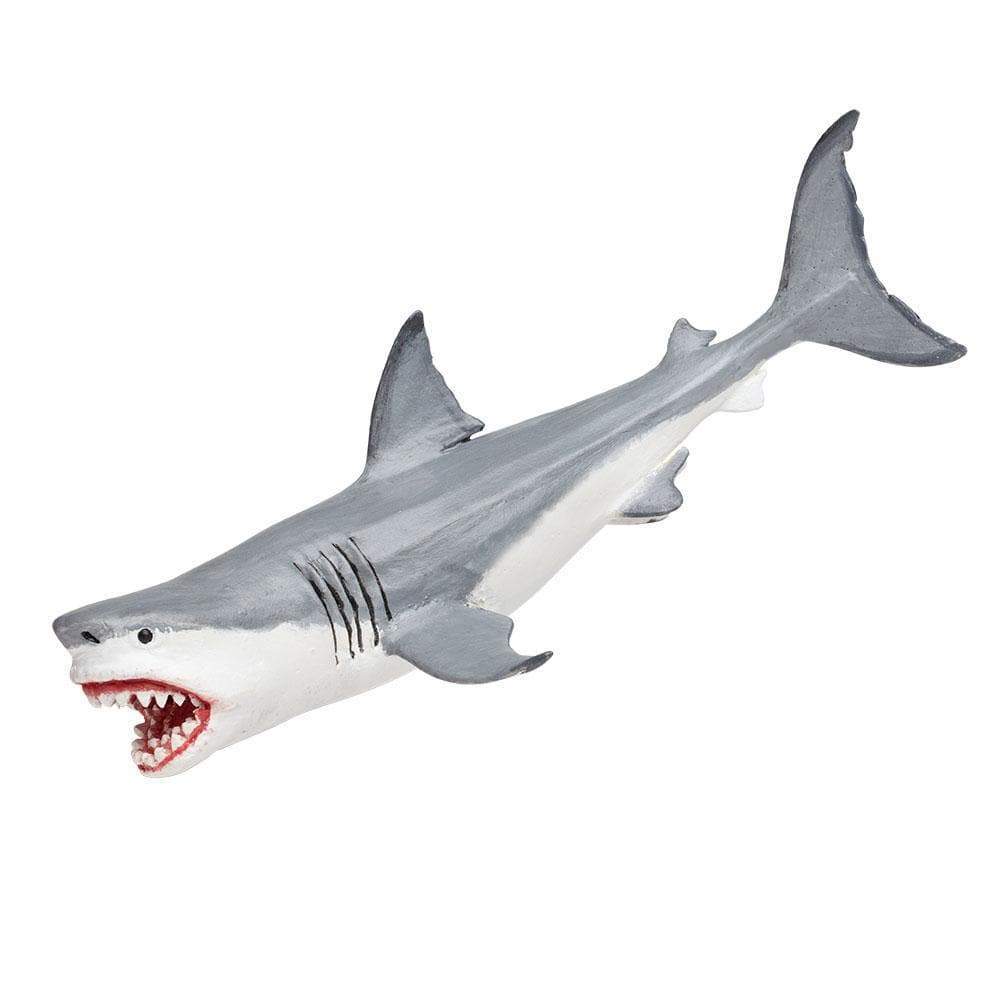 Megalodon Toy | Dinosaur Toys | Safari Ltd.