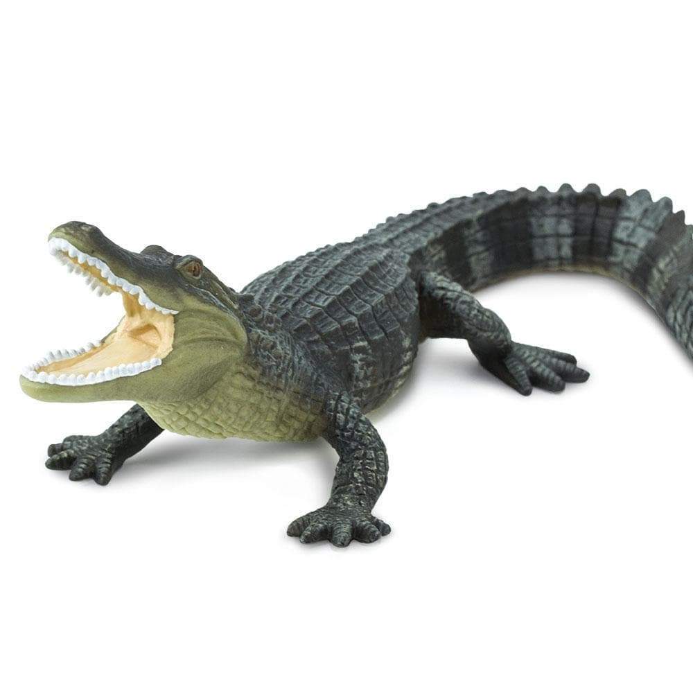 Alligator Toy