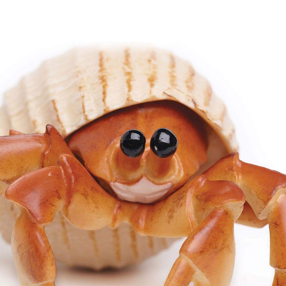 Hermit Crab Toy | Incredible Creatures | Safari Ltd®