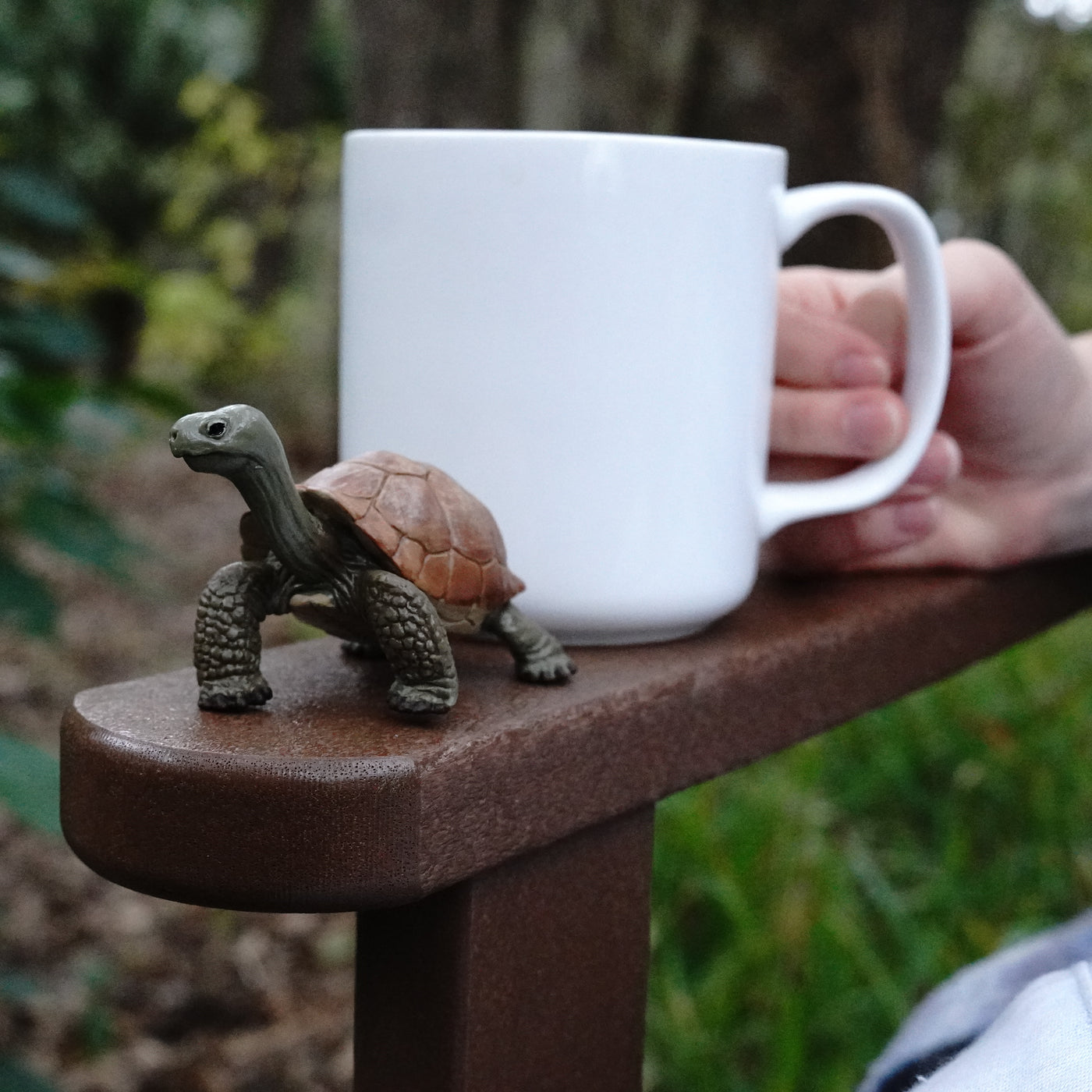 Giant Tortoise Toy