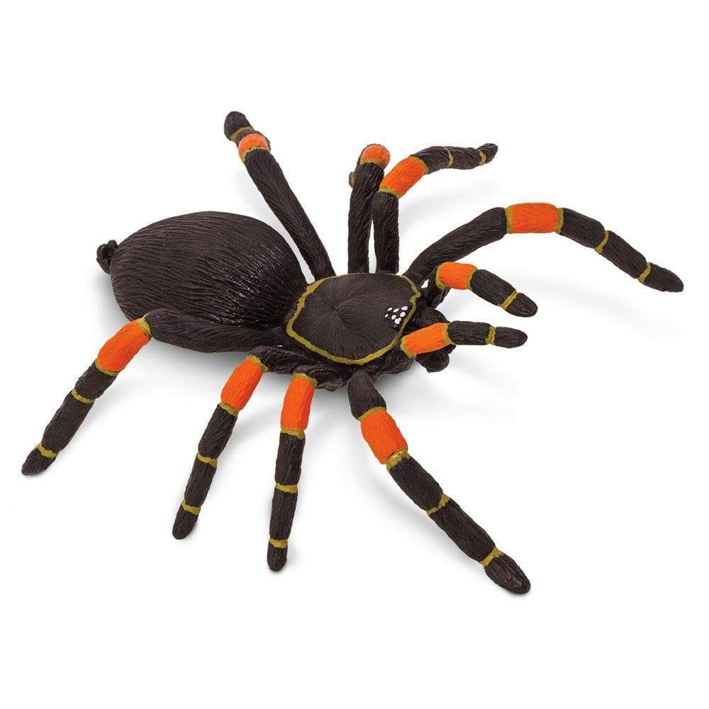 Orange-kneed Tarantula - Safari Ltd®