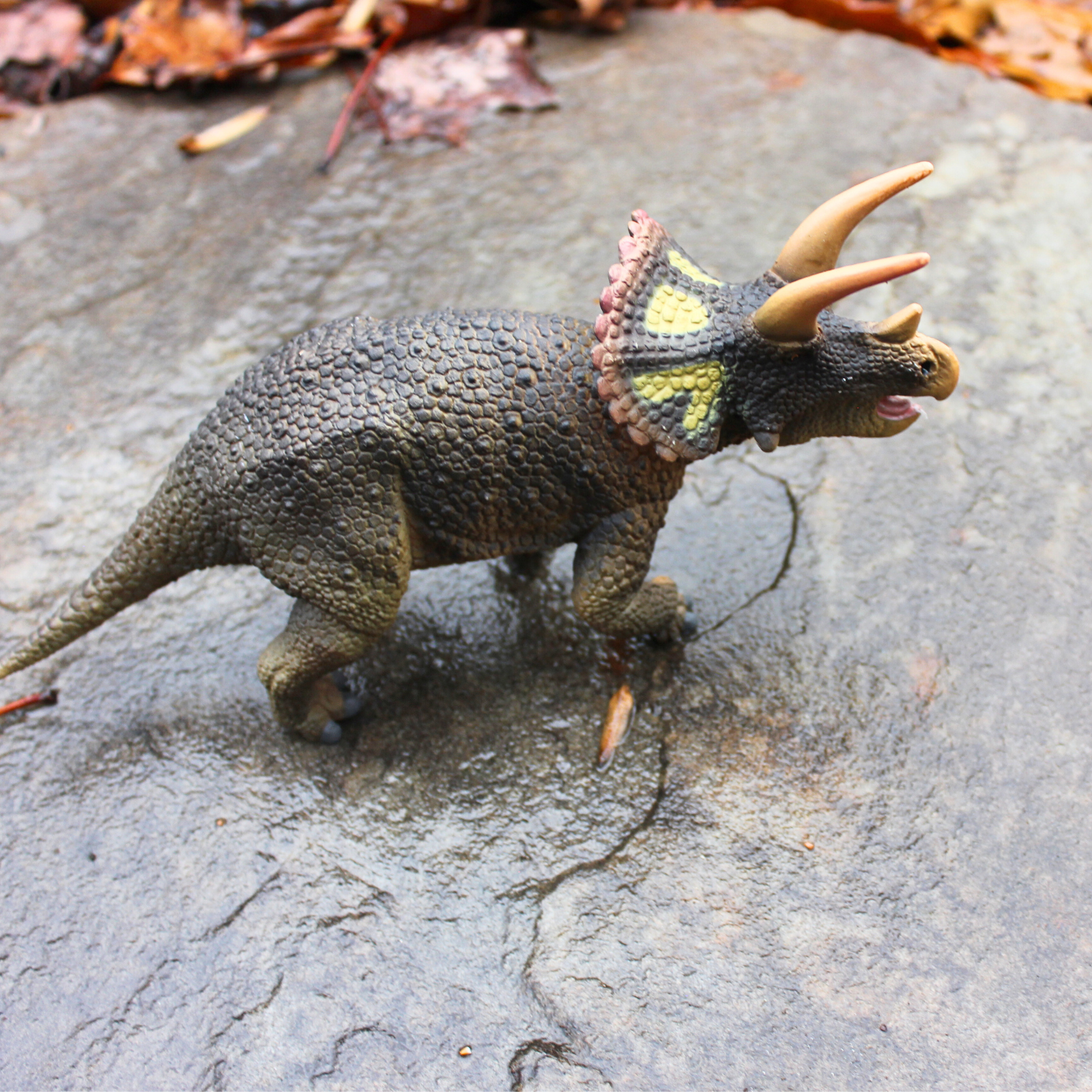 Triceratops Toy