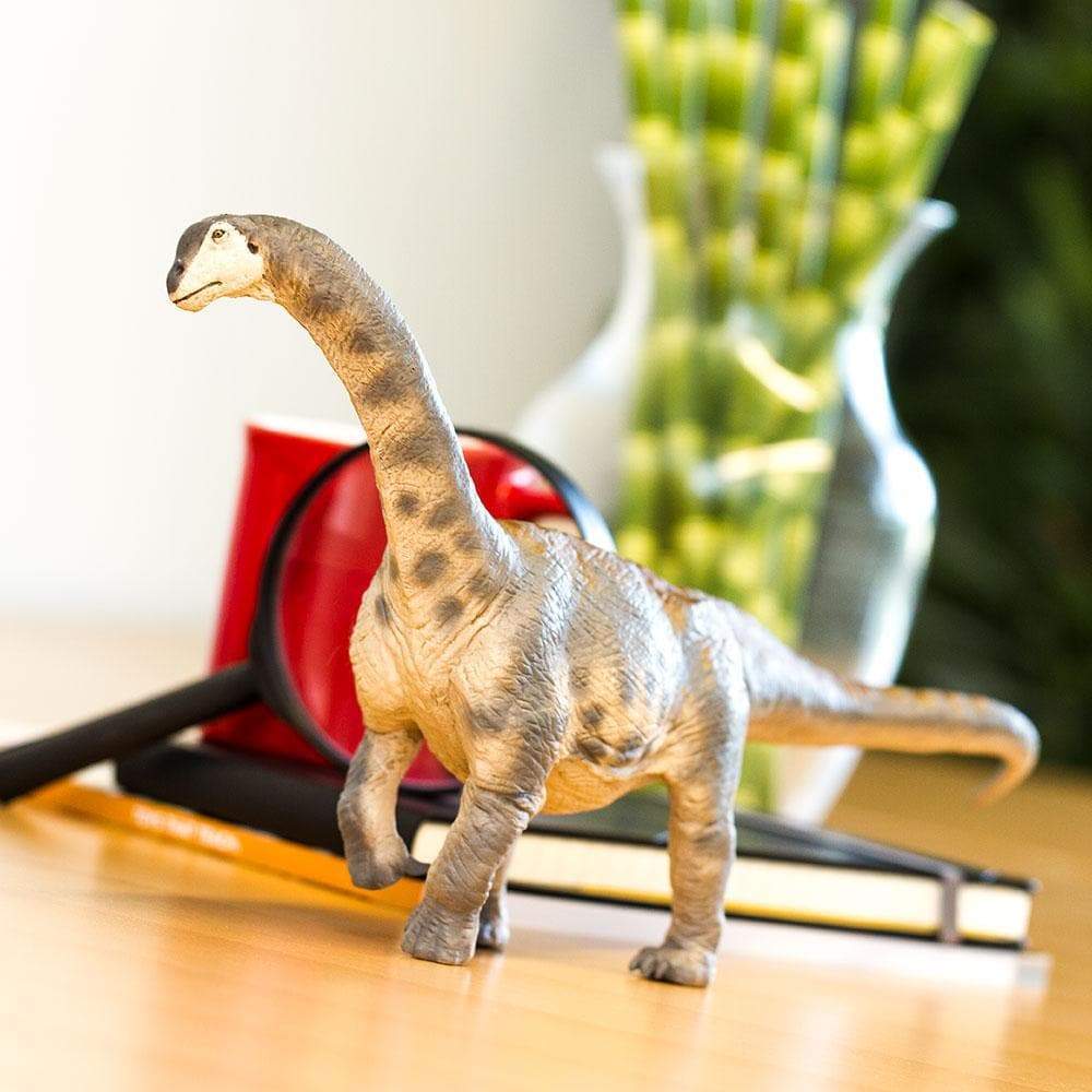 Camarasaurus Toy