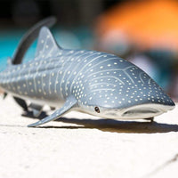 Whale Shark Toy