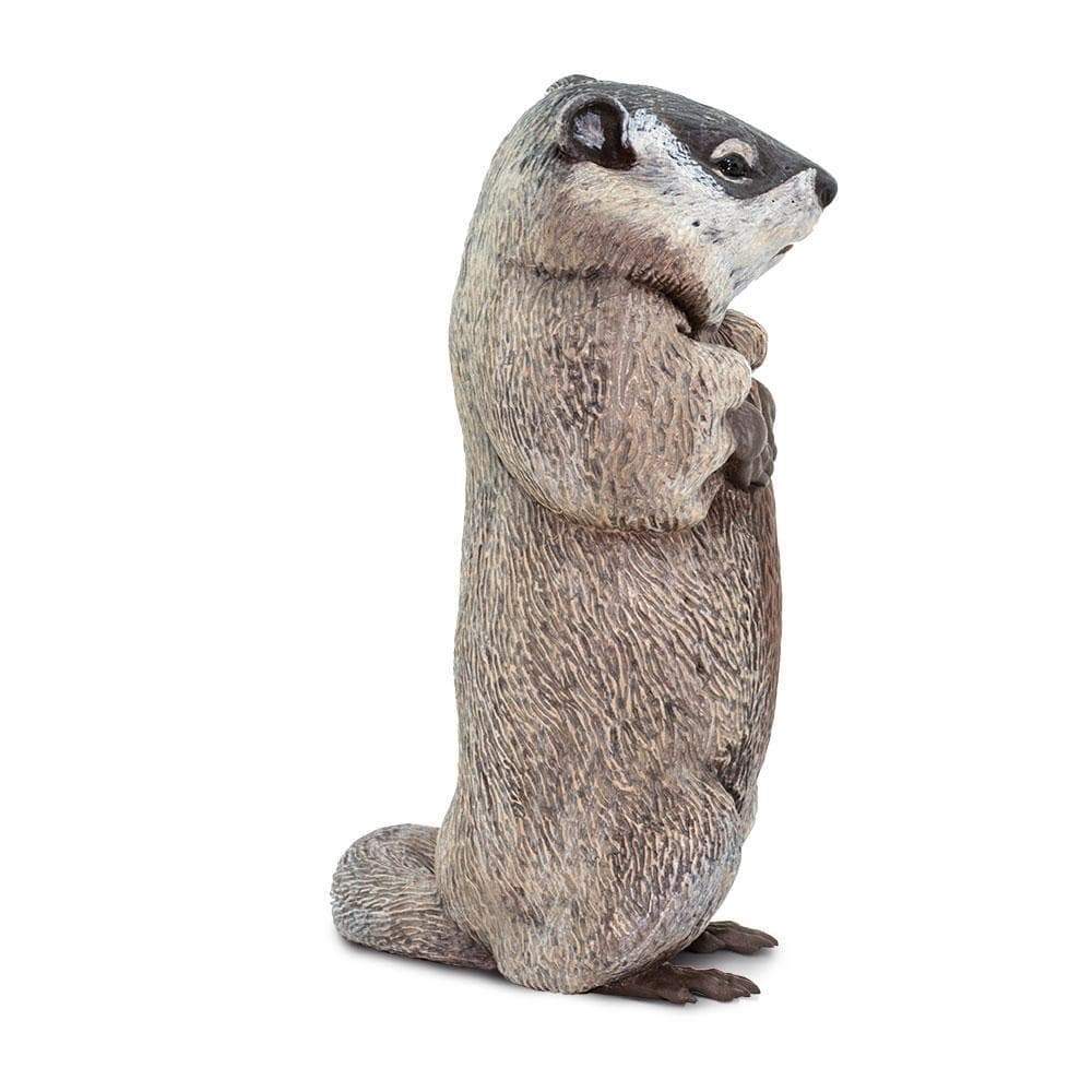 Groundhog Toy | Incredible Creatures | Safari Ltd®