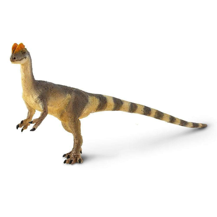 Dilophosaurus Toy | Dinosaur Toys | Safari Ltd.