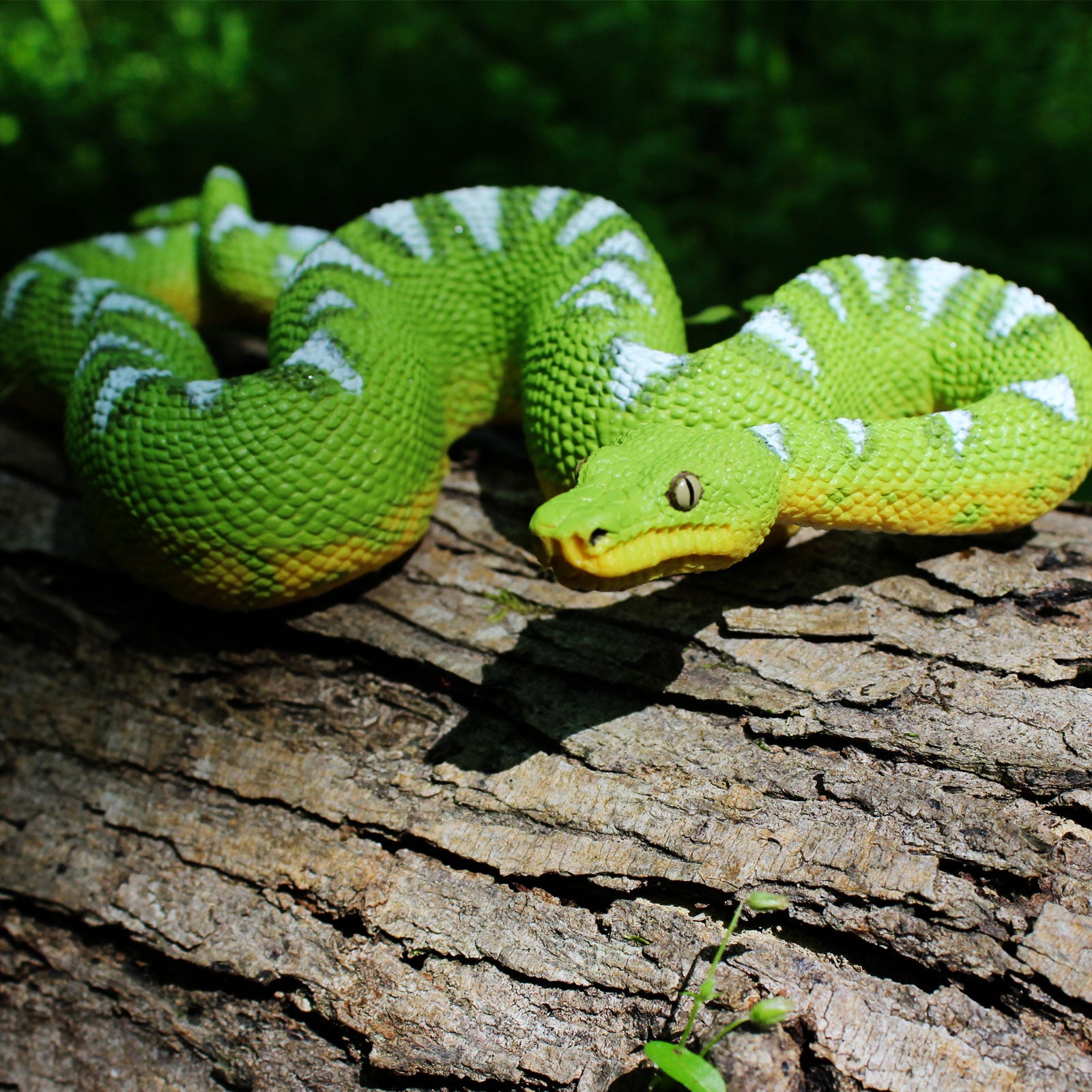 Emerald Tree Boa Toy Figure | Incredible Creatures | Safari Ltd®