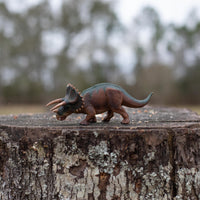 Triceratops Toy | Dinosaur Toys | Safari Ltd®