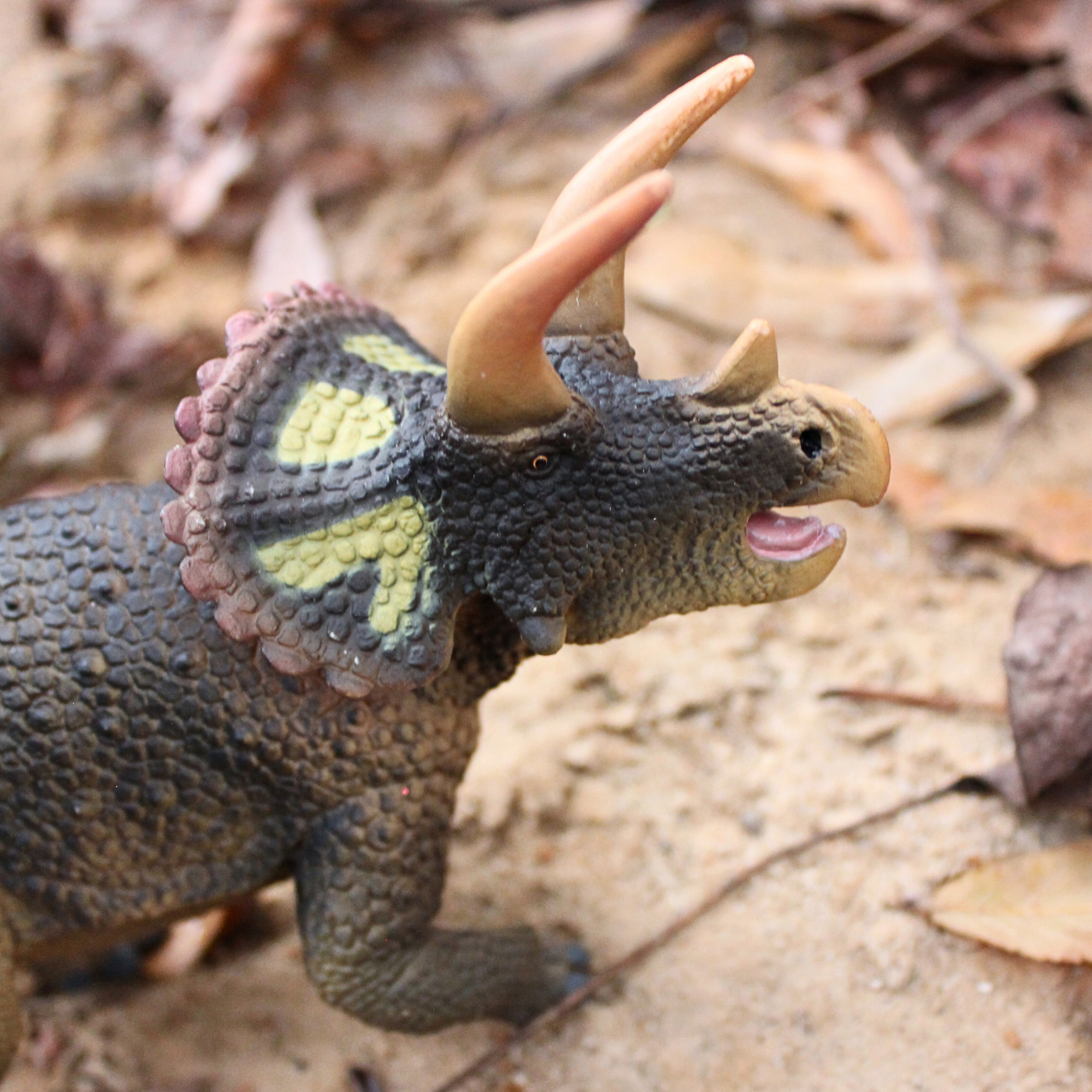 Triceratops Toy