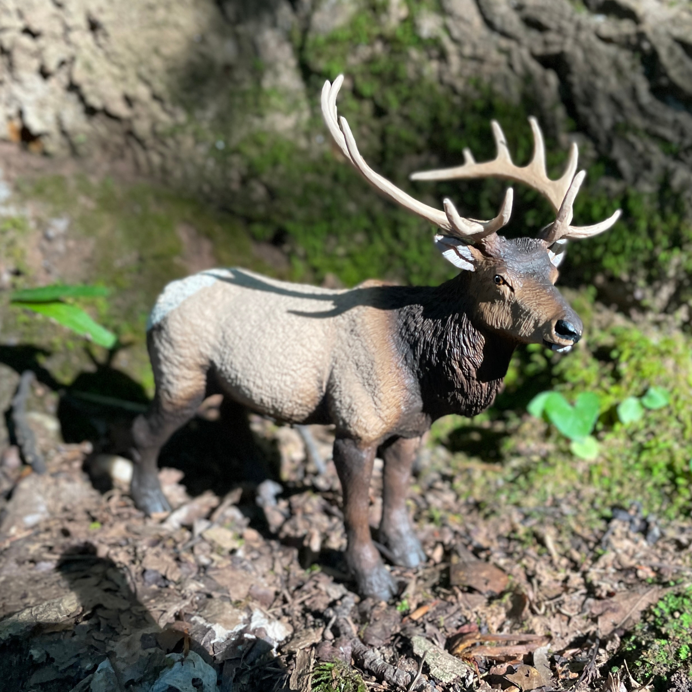 Elk Toy Figure | Wild Wildlife | Safari Ltd®