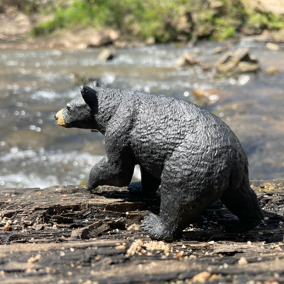 Black Bear Toy