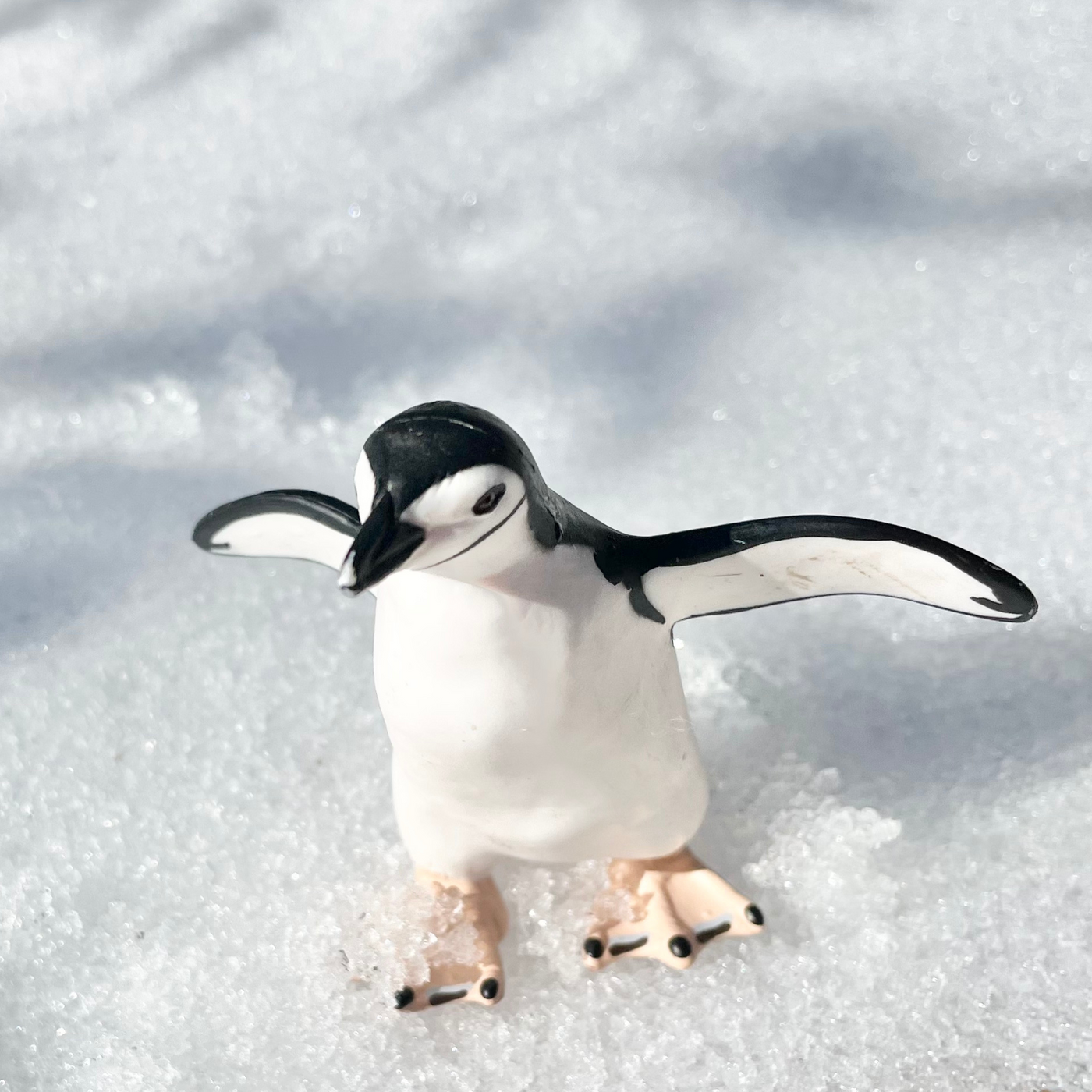 Chinstrap Penguin Toy