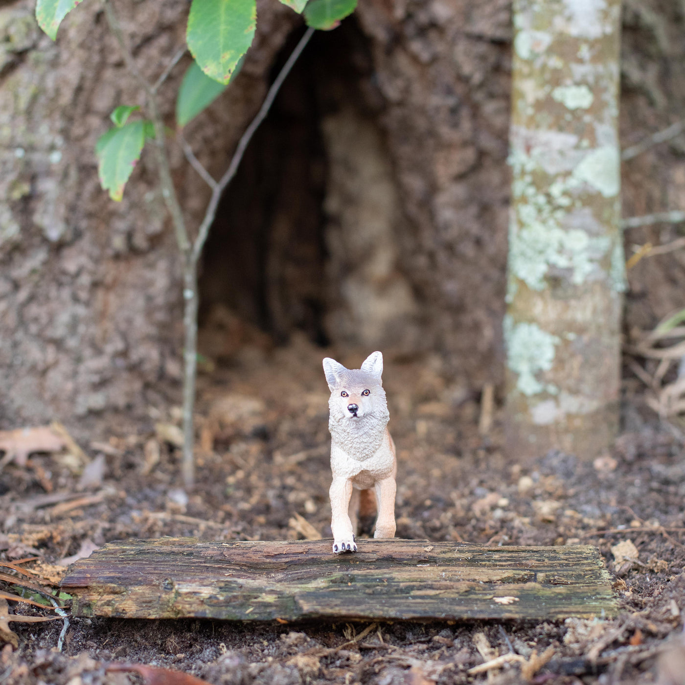 Coyote Toy | Wildlife Animal Toys | Safari Ltd®