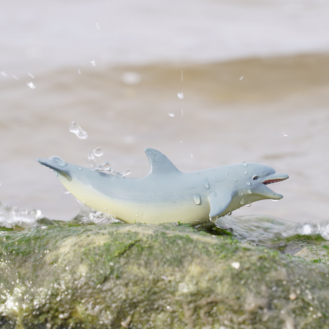 Dolphin Toy