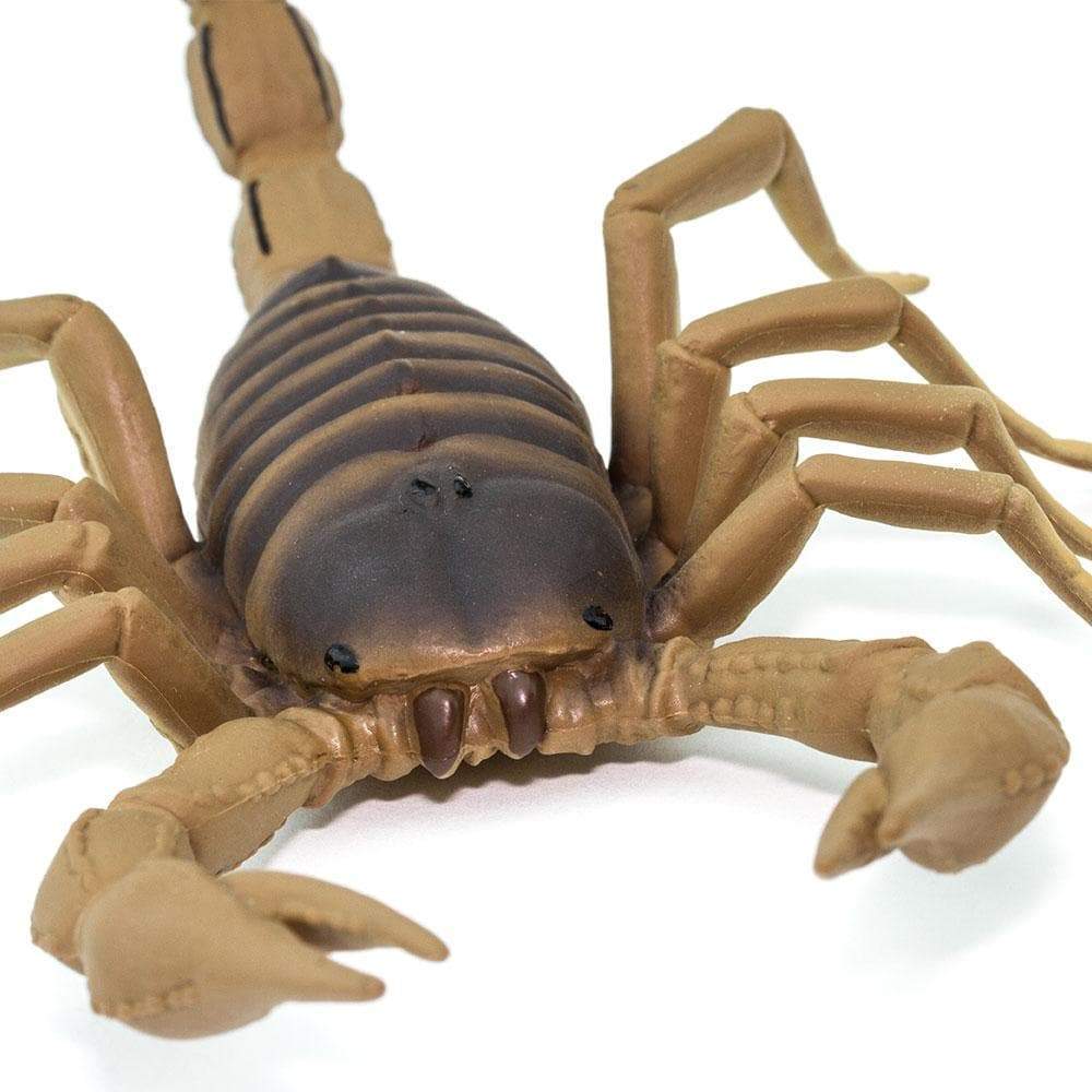 Scorpion Toy | Incredible Creatures | Safari Ltd®