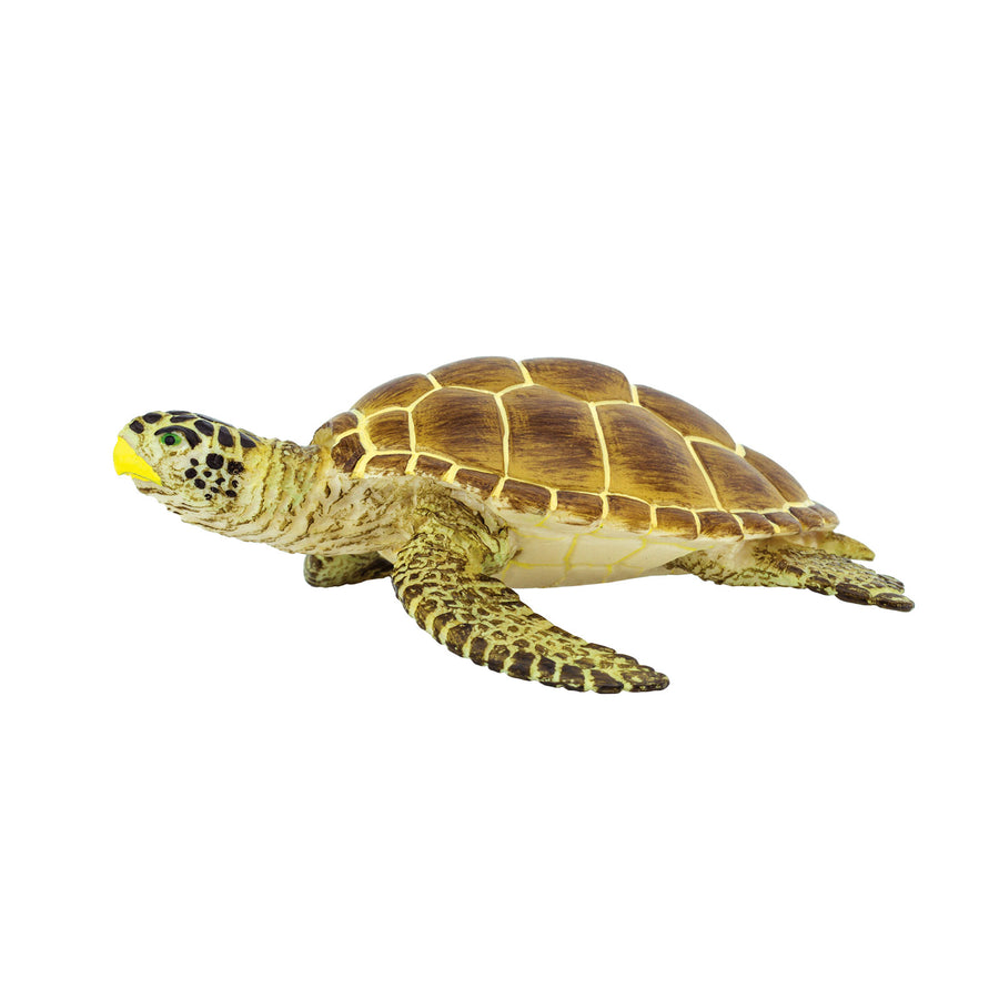 Loggerhead Turtle Toy - Sea Life Toys by Safari Ltd.