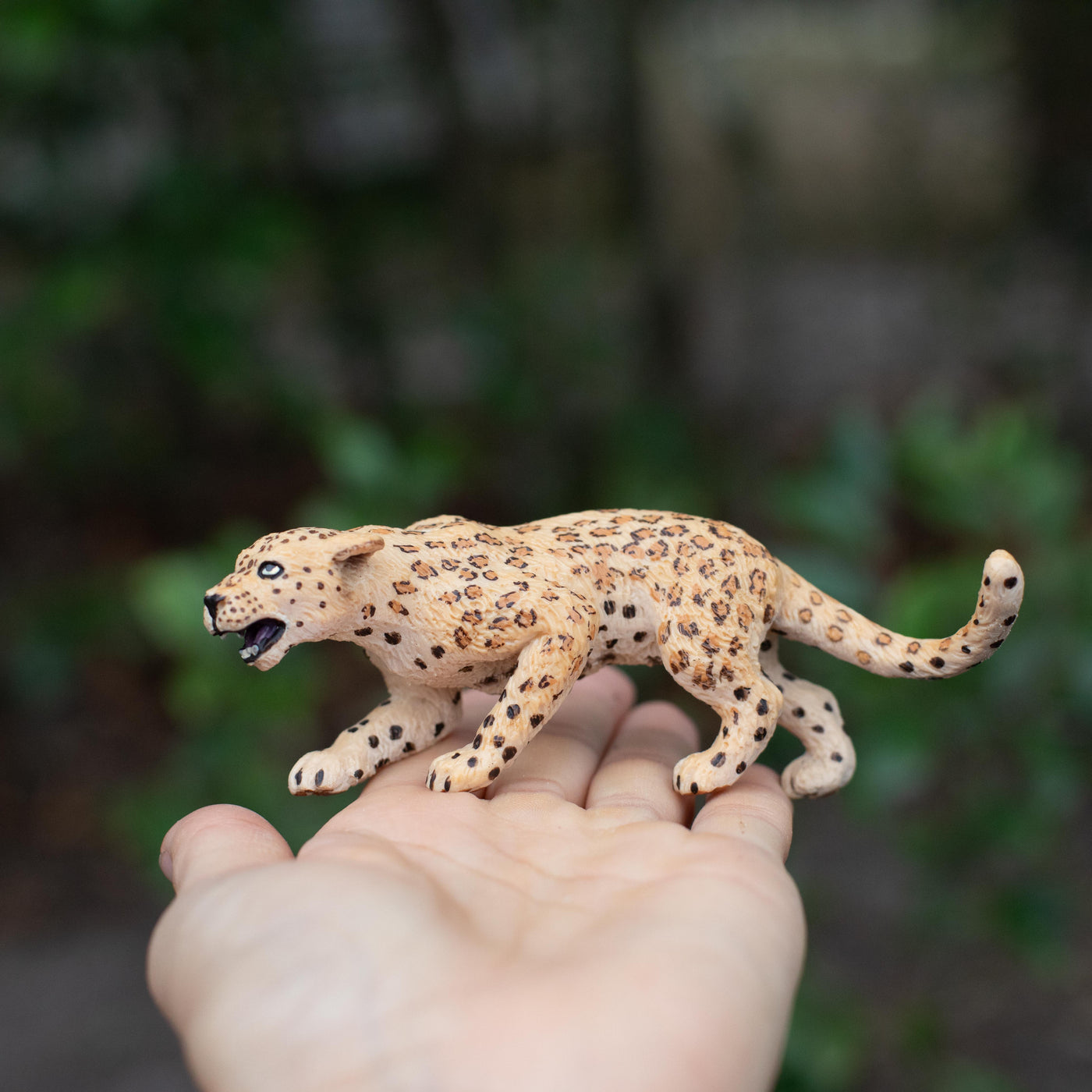 Leopard Toy | Wildlife Animal Toys | Safari Ltd®