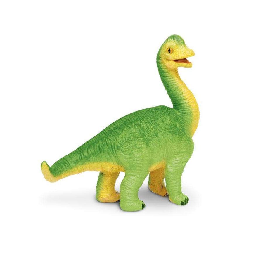 Brachiosaurus Baby Toy | Dinosaur Toys | Safari Ltd.