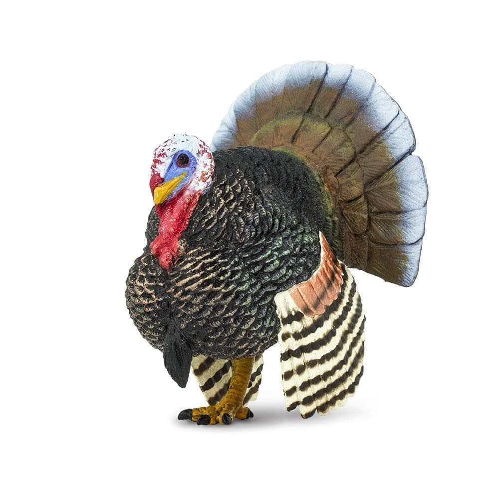 Turkey Toy