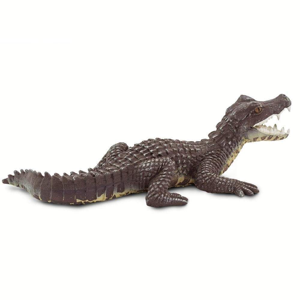 Caiman Toy