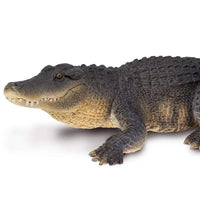 Alligator Toy