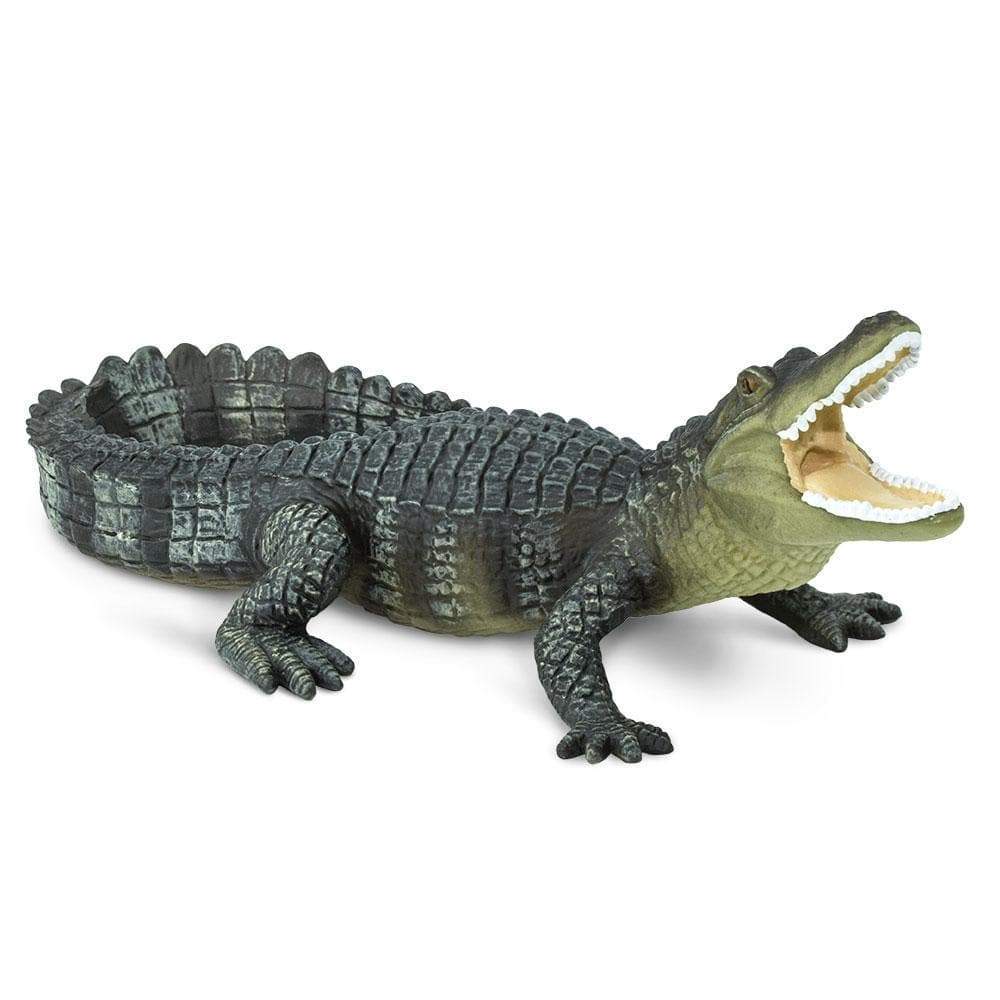 Alligator Toy