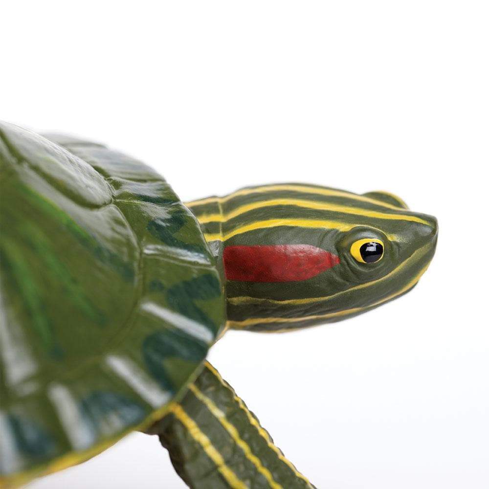 Red-Eared Slider Turtle Toy | Incredible Creatures | Safari Ltd®