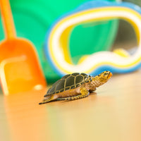 Green Sea Turtle Toy