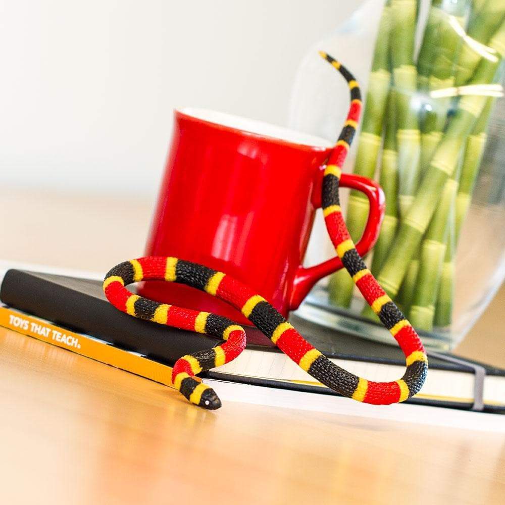 Coral Snake Baby - Safari Ltd®