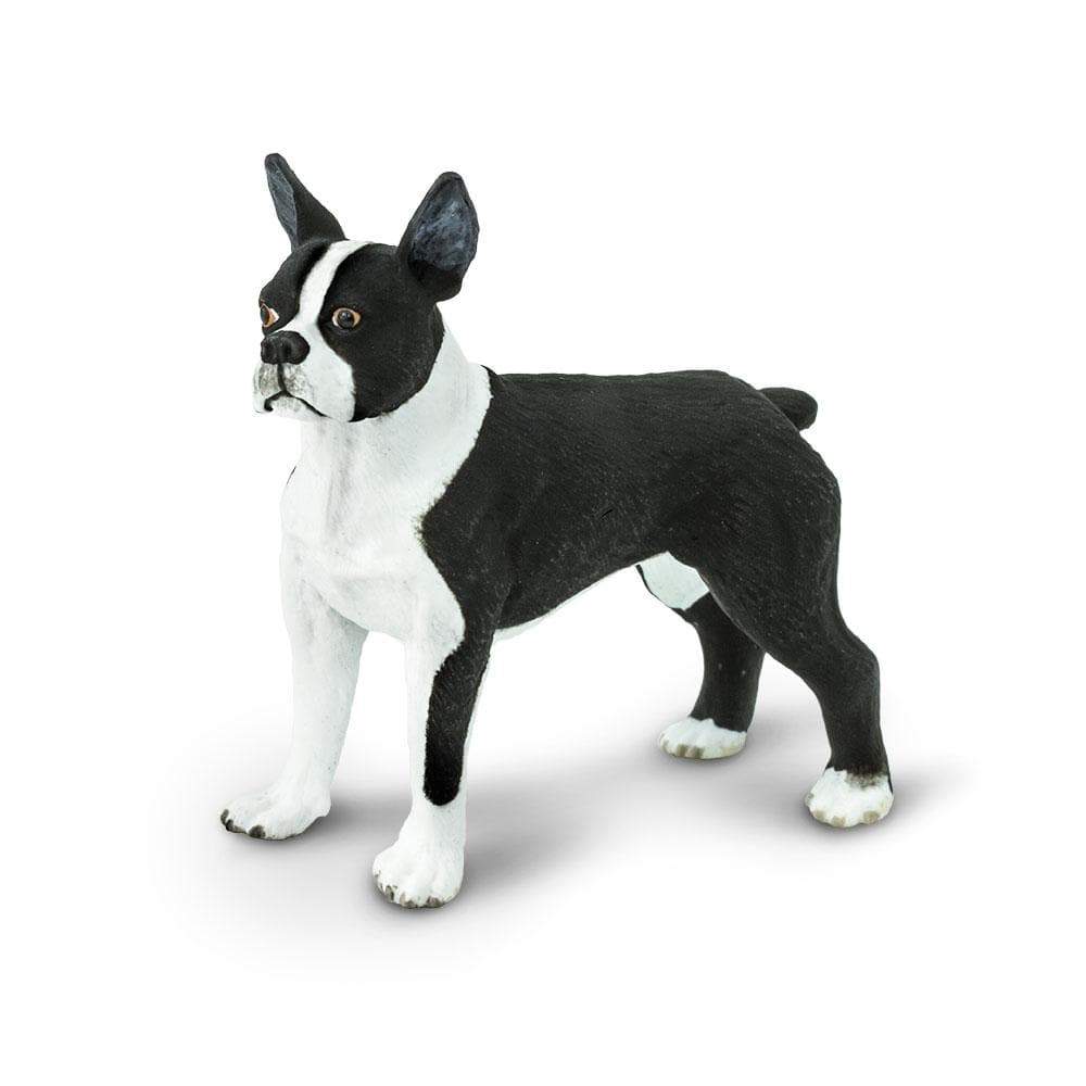 Boston Terrier - Safari Ltd®