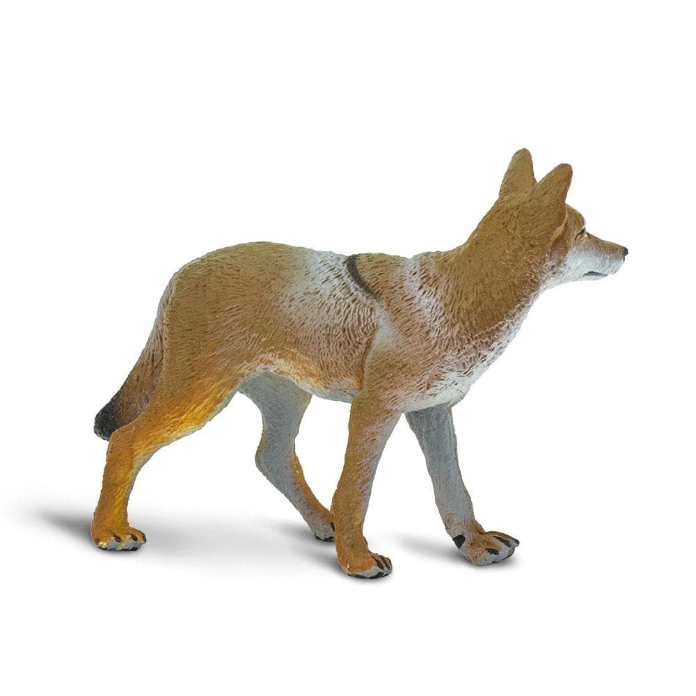 Coyote Toy