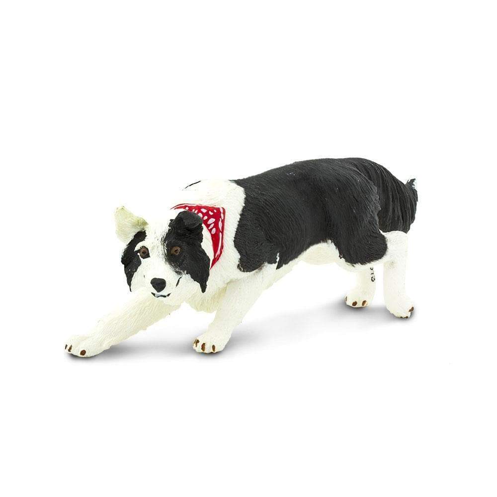 Border Collie Toy | Farm | Safari Ltd®