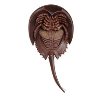 Horseshoe Crab | Incredible Creatures | Safari Ltd®